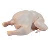 2025 Perfect Premium Grade Whole Chicken Frozen Quality Frozen Whole Chicken and Parts Frozen Whole Chick in Brazil