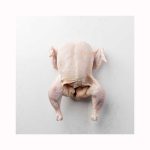 Top Quality Halal Frozen Whole Chicken / Chicken Breast and Paws for Sale Halal Whole Frozen Chicken/ Best World Market Price