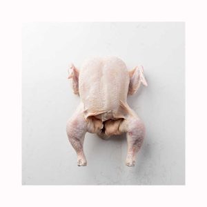 Top Quality Halal Frozen Whole Chicken / Chicken Breast and Paws for Sale Halal Whole Frozen Chicken/ Best World Market Price for sale