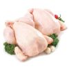 Best Price Halal Frozen Whole Chicken | Frozen Chicken Whole And Parts Bulk - pakqualityfoodsllc - Chicken - B2B Global