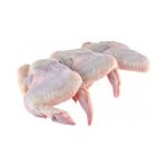 Frozen Halal Chicken Wings At Wholesale Prices buy high quality frozen chicken buy high quality 3 chicken joint wings for sale