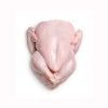 Frozen Whole Chicken Halal Whole Frozen Chicken For Sale Discount Rate Premium - Quirch Foods - Chicken - B2B Global