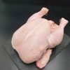 Wholesale Premium Frozen Chicken Cheapest Whole Raw Chicken For Sale - United States Cold Storage Inc - Chicken - B2B Global