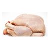 Top Selling Premium Halal Frozen Whole Chicken, Chicken Feet, Paws, Wings