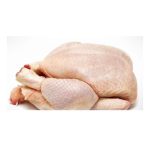 Top Selling Premium Halal Frozen Whole Chicken, Chicken Feet, Paws, Wings