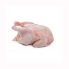 Broiler and Griller. Chicken Parts!! Halal whole chicken, Brazil frozen whole chicken suppliers, frozen whole chicken for export