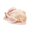 Best Grade Chicken Halal Frozen Chicken Paws For Good Price Export Frozen - MATADERO FRIGORIFICO AVINYO SA - Chicken - B2B Global
