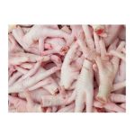 Halal Chicken Feet / Frozen Chicken Paws Brazil / Fresh Chicken wings