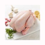 Wholesale Halal Frozen Whole Chicken With And Without Giblets Body Chicken - Coastal Processing LLC - Chicken - B2B Global