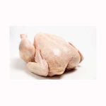 Frozen Whole Chicken - Frozen Chicken Legs And Wings Halal Frozen Whole Chicken - Chicken LLC Kingdom - Chicken - B2B Global