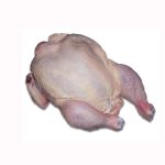 Frozen Whole Chicken - Frozen Chicken Legs And Wings Halal Frozen Whole Organic - SA iMPORTADORA Y EXPORTADOR... - Chicken - B2B Global