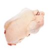 Brazilian Complete Chicken Chicken Meat Wholesale Prices Fresh Frozen Halal - Wilco Cold Storage LLC - Chicken - B2B Global