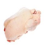 Brazilian Complete Chicken Chicken Meat Wholesale Prices Fresh Frozen Halal - Wilco Cold Storage LLC - Chicken - B2B Global