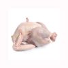 Brazil Frozen Chicken Paws - Chicken Feet - Whole Chicken And Chick Parts Halal - Plainville Brands LLC - Chicken - B2B Global