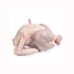 Brazil Frozen Chicken Paws - Chicken Feet - Whole Chicken And Chick Parts Halal - Plainville Brands LLC - Chicken - B2B Global