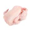 For Sale Quality Halal Whole Frozen Chicken From Brazil Frozen Chicken Feet - Michigan Turkey Producers C... - Chicken - B2B Global