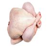Top Brazilian / High Quality Halal Frozen Whole Chicken | Wholesale Halal Frozen Whole Chicken for Sale