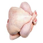 Top Brazilian / High Quality Halal Frozen Whole Chicken | Wholesale Halal Frozen Whole Chicken for Sale
