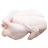 Top Brazilian / Whole Sale Quality Fresh Whole Chicken Halal Frozen Chicken with Low Price- Brazil Frozen Food.