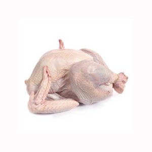 Chicken wing Processed Meat In Wholesale Price frozen chicken WHOLE CHICKEN FOR IN SALE Quality Frozen Whole For Sale for sale