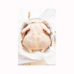 Frozen Whole Chicken, Chicken Feet, paws/wings/breast for export TOP QUALITY Frozen Whole Chicken Cheap prices Halal