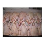 Best Price Halal Frozen Whole Chicken | Frozen Chicken Whole And Parts Bulk - pakqualityfoodsllc - Chicken - B2B Global