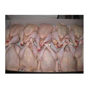 Best Quality Healthy and Natural Whole Chicken Halal Frozen Whole Chicken From Turkey Poultry Meat Chicken