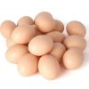 Whole Sale Organic Fresh Chicken Table Eggs From Reputed Supplier - vendoradmin16 - Chicken - B2B Global