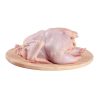 Wholesale Supplier of Bulk Stock of Halal Frozen Whole Chicken | Frozen Chicken Whole and Parts Fast Shipping