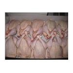 High Quality Halal Frozen Whole Chicken | Frozen Chicken Whole and Parts Available for Sale at Low Price