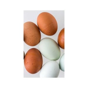 High Quality Halal Organic Poultry Chicken Brown and White Shell Table Eggs Farm Fresh Packed Eggs for sale