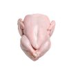 Whole Halal Frozen Chicken Top Selling Premium Grade High Quality Low Price Fresh Poultry Whole Frozen Chicken Meat From Brazil