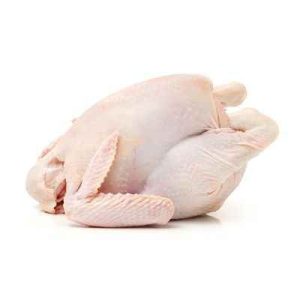 High Quality Frozen Grade a Halal Whole Chicken and Chicken Parts Top Selling Premium Halal Frozen Whole Chicken for sale