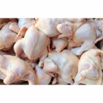 Frozen Whole Chicken For Wholesale - Competitive Pricing, Fast Shipping - SAILE FOOD MONGOLIA LLC - Chicken - B2B Global