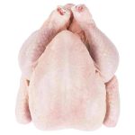 Brazil Halal Frozen Whole Chicken, Frozen Chicken Frozen Processed Chicken