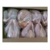 QUALITY HALAL WHOLE FROZEN CHICKEN FROM BRAZIL