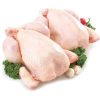 Wholesale Premium Supplier ! Halal Frozen Whole Chicken Halal Chicken Processed Meat - Cordele Food Holdings LLC - Chicken - B2B Global
