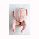 Whole Chicken (Griller) Top Quality Frozen Chicken Feet Paws Breast / Frozen Whole Chicken / Frozen Chicken Legs and Wings