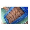 Top Selling Frozen Chicken Breast Halal Chicken Breast Farm Chicken - Frez-N-Stor Inc. - Chicken - B2B Global