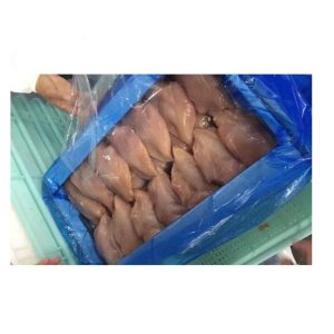 Top Selling Frozen Chicken Breast Halal Chicken Breast Farm Chicken for sale