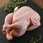 Whole Frozen Chicken Fast Delivery Low Price Premium Top Quality Fresh Frozen Chicken Wholesale for Sale