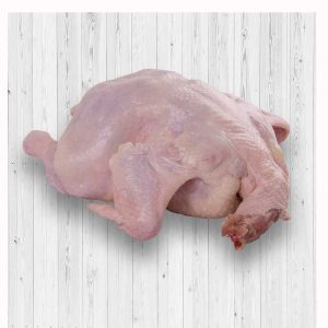 BEST Hot Sale Low Price Frozen Whole Hen Chicken For Sale Hot sale frozen Whole Chicken Halal Certified Frozen Whole Chicken for sale