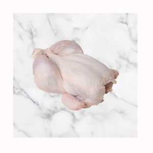Best quality frozen whole chicken frozen whole chicken Chickens Frozen