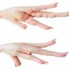 Chicken Feet Price China Market Halal Frozen Chicken Feet Export of Chicken Feet to China General