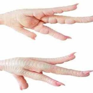 Chicken Feet Price China Market Halal Frozen Chicken Feet Export of Chicken Feet to China General Chicken Feet Price China Market Halal Frozen Chicken Feet Export of Chicken Feet to China General