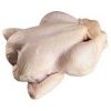 Healthy And Natural Whole Chicken Halal Frozen Whole Chicken From Turkey - WiNGHAM BEEF EXPORTSPTY LiM... - Chicken - B2B Global