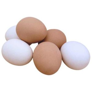High Standard Best Quality Chicken Egg Fresh and Natural Egg Wholesale Price Animal Products Eggs for sale
