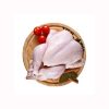 Whole Chicken - Frozen Chicken Feet - Frozen Chicken Paws Bulk Best Price - Foster Poultry Farms LLC - Chicken - B2B Global