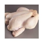 100% Quality Guaranteed Halal Frozen Whole Chicken 800g/900g/1000g/1100g/1300g/2000g