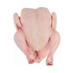 Fresh Scallops (large, Wild-Caught) - Geroi ShironintsyLLC Vostok... - Aquatic - B2B Global